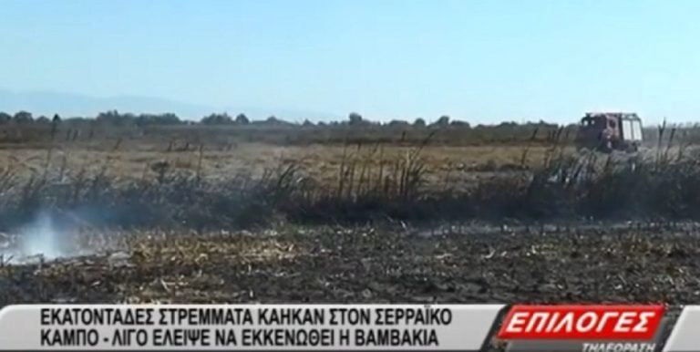 Σέρρες : Καμένη γη από τη μεγάλη φωτιά -Έκκληση από τους κατοίκους στους αγρότες (video)