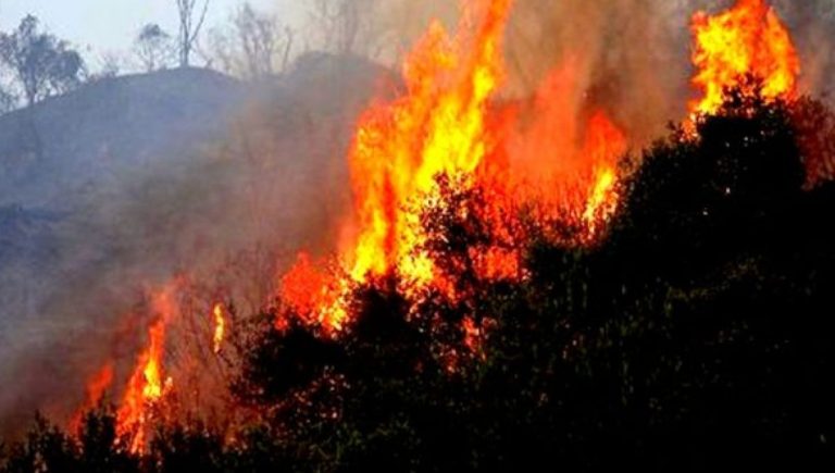 Σέρρες: Φωτιά στα Θερμά Βισαλτίας- Αφέθηκε ελεύθερος ο ηλικιωμένος (video)