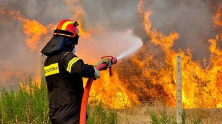 Φωτιά στην Βροντού Σερρών- Μεγάλη κινητοποίηση της Πυροσβεστικής