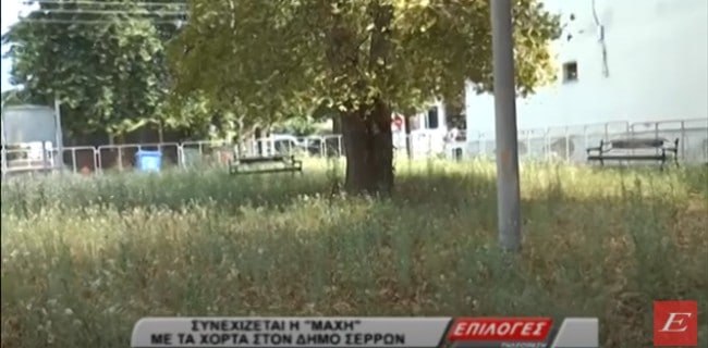 Συνεχίζεται η «μάχη» με τα χόρτα στον δήμο Σερρών (video)