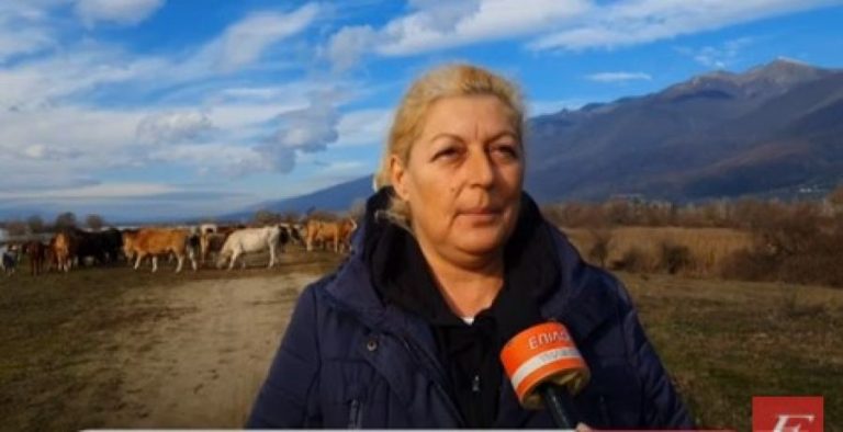 Σέρρες: Ελεγχόμενη η κατάσταση του Στρυμόνα- Τι λένε οι κάτοικοι (video)