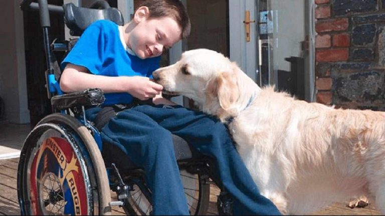 Θεσσαλονίκη: Γνωρίστε τους σκύλους – βοηθούς που αλλάζουν τις ζωές ατόμων με αναπηρία