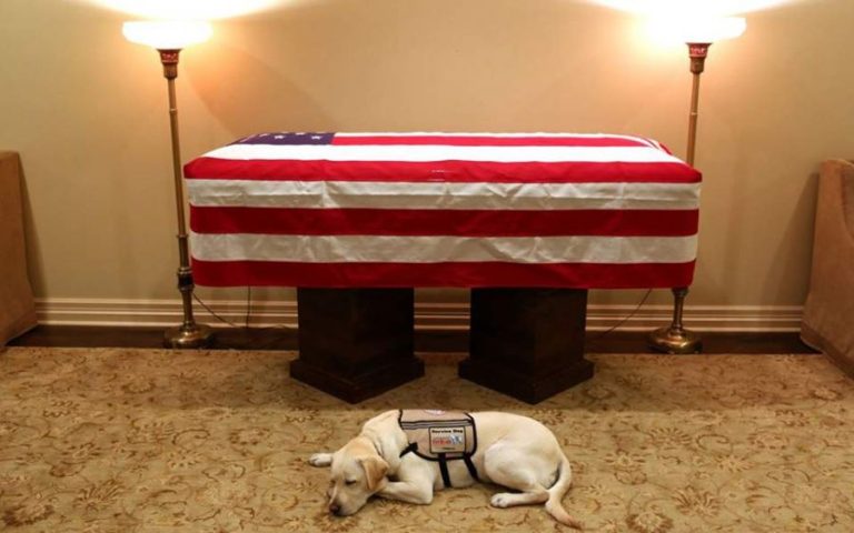 Η συγκινητική φωτογραφία με τον σκύλο του Τζορτζ Μπους