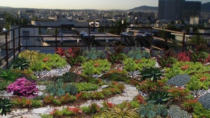 Θεσσαλονίκη: Μείωση δημοτικών τελών σε πολίτες για δημιουργία κάθετων κήπων