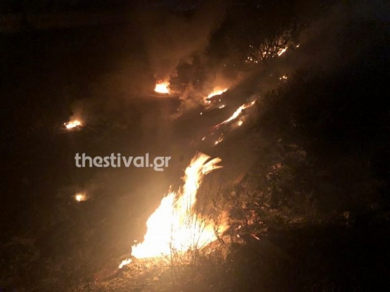 17 οχήματα και 40 πυροσβέστες στη μάχη με την φωτιά στην Ιωνία Θεσσαλονίκης (ΦΩΤΟ & VIDEO)