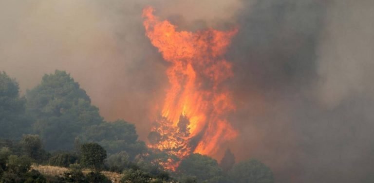Χαλκιδική: Φωτιά στο Καλαμίτσι – Μεγάλη κινητοποίηση της Πυροσβεστικής