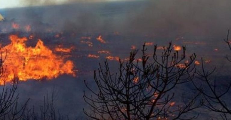 Υπό έλεγχο η μεγάλη φωτιά στην Βαμβακιά -Από Στρυμονικό μέσω Νιγρίτας η συγκοινωνία για Σέρρες