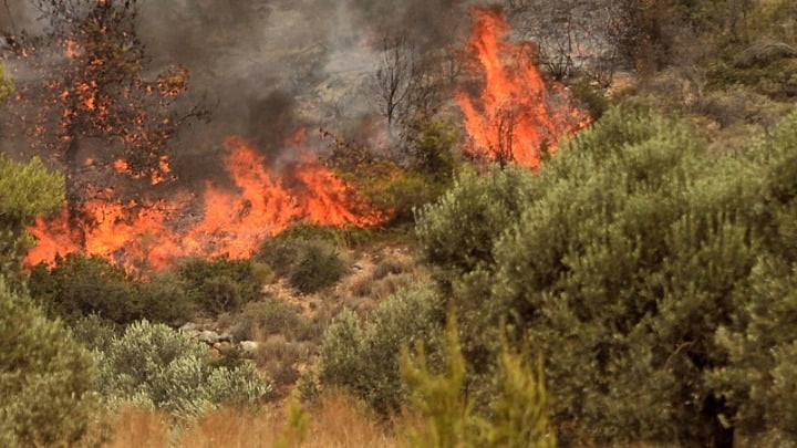 Σε πλήρη εξέλιξη η πυρκαγιά στη Βαρυμπόμπη – Εκκενώθηκε και μέρος του Κρυονερίου