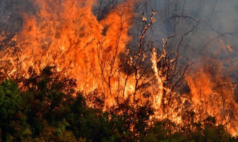 Σέρρες: 80χρονος προκάλεσε μεγάλη φωτιά στα Θερμά Νιγρίτας