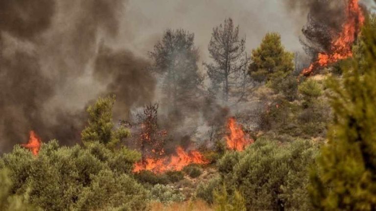 Πολύ υψηλός κίνδυνος πυρκαγιάς και αύριο σε Αττική, Εύβοια, Λακωνία και Βόρειο Αιγαίο