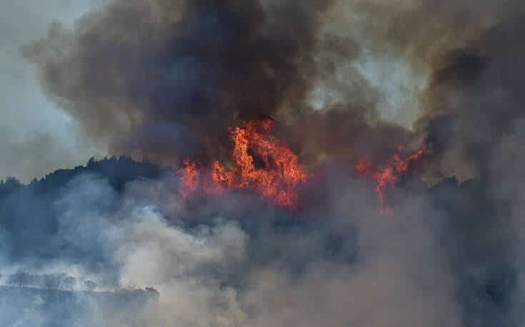 Φωτιά ξέσπασε στα Κύθηρα: Μεγάλη επιχείρηση της Πυροσβεστικής – Υπάρχουν διάσπαρτα σπίτια στο σημείο