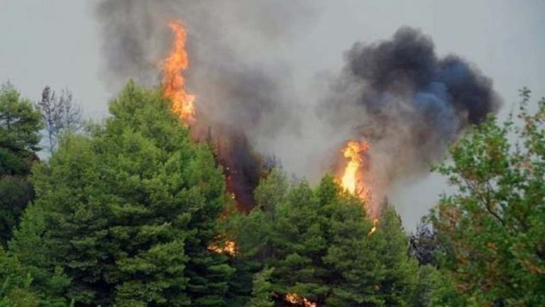 Φωτιά ξέσπασε σε δασική έκταση στην Καστοριά – Επιχειρούν εναέρια μέσα
