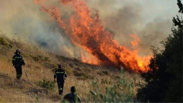 Πάτρα: Κηρύχθηκαν σε κατάσταση έκτακτης ανάγκης οι πυρόπληκτες περιοχές της Αχαΐας
