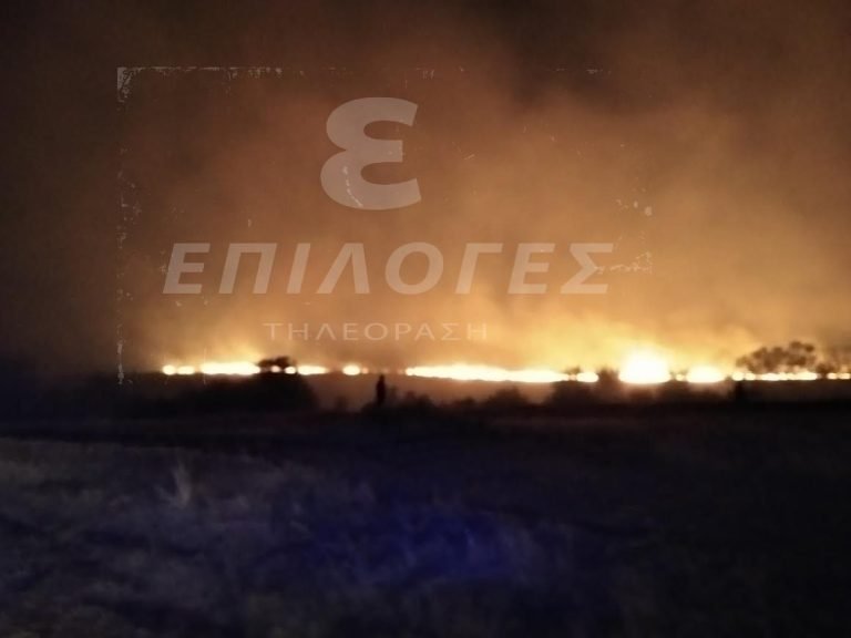 Μάχη με τις φλόγες όλη την νύχτα στην Αλιστράτη Σερρών -Σε εξέλιξη η φωτιά