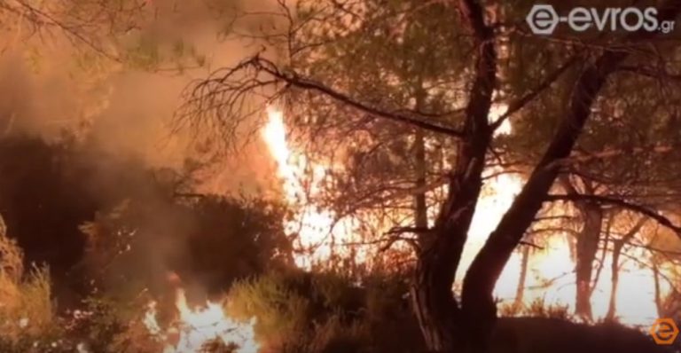 Έβρος: Ολονύχτια μάχη με τις φλόγες – Κινδυνεύει το δάσος της Δαδιάς