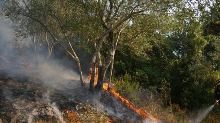 Θεσσαλονίκη: Οριοθετήθηκε η πυρκαγιά στο Πανόραμα – Δεν εκκενώθηκε οικισμός