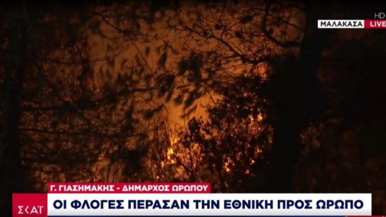Δήμαρχος Ωρωπού: H φωτιά πέρασε την Εθνική- Οικισμοί που εκκενώνονται