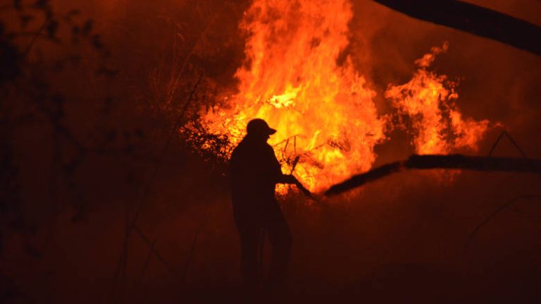 Εκτός ελέγχου η μεγάλη φωτιά στον Κιθαιρώνα-Επιχειρούν 145 πυροσβέστες με 32 οχήματα