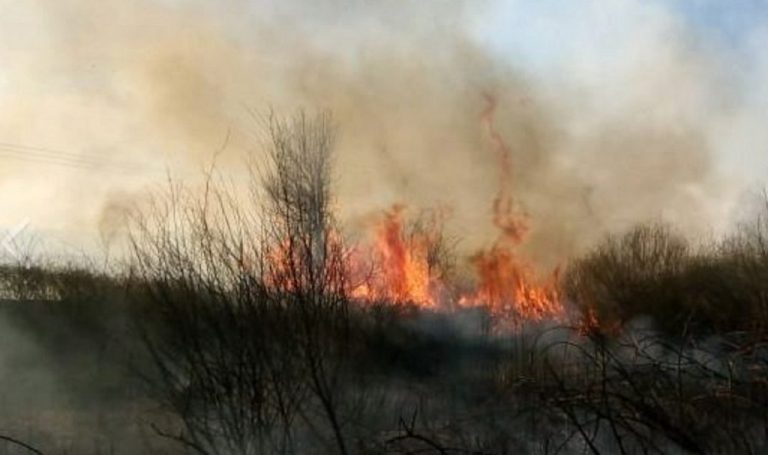 Οι συνέπειες της ατιμωρησίας: Καθαρά Δευτέρα με δεκάδες εστίες φωτιάς στον Σερραϊκό κάμπο
