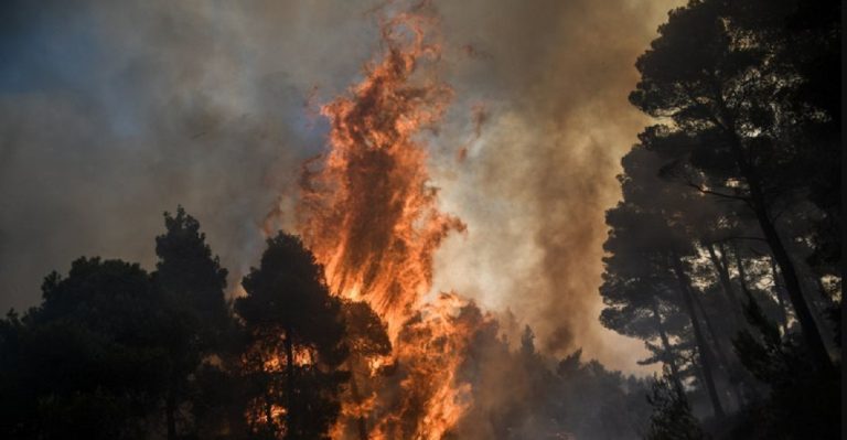 Πυροσβεστική: 36 δασικές πυρκαγιές το τελευταίο 24ωρο