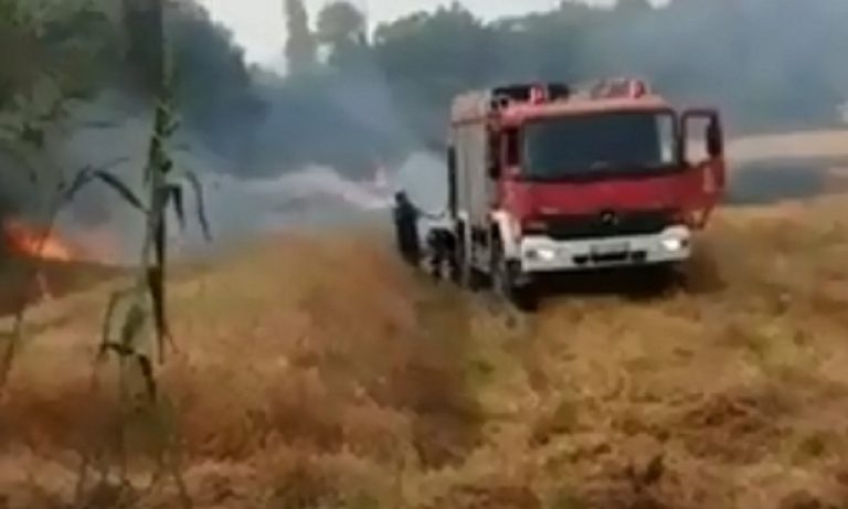 Βίντεο από την φωτιά που ξέσπασε στην Ε.Ο Σερρών Δράμας (video)