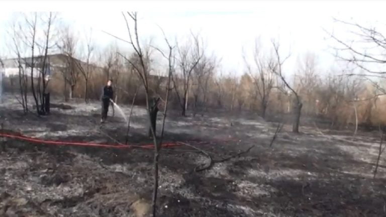 Βίντεο από την φωτιά στο 2ο χιλ Σερρών Νιγρίτας (video)