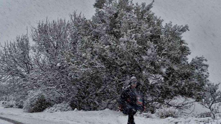 Σφοδρή χιονόπτωση σε Σποράδες και Πήλιο – Στα λευκά και ο Βόλος