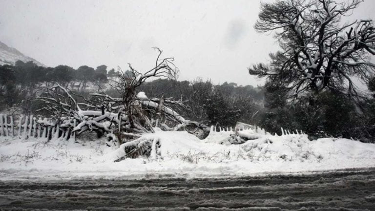 Χιονοπτώσεις στις περισσότερες περιοχές της χώρας: Η πρόβλεψη του Γιάννη Καλλιάνου
