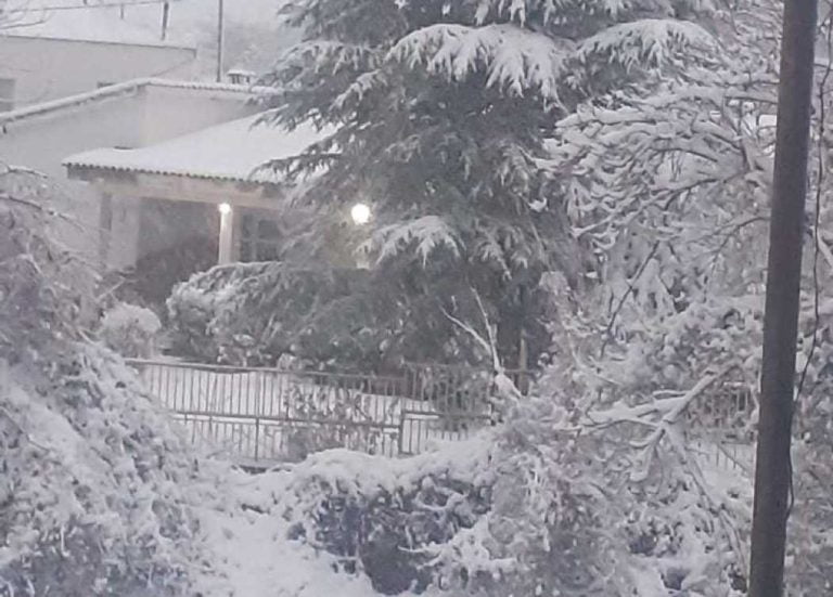 Σέρρες: Πανέμορφες εικόνες από το χιονισμένο Αχλαδοχώρι