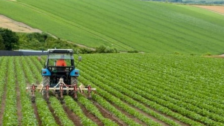 Παρέμβαση Μητσοτάκη ζητεί η Γεννηματά: «Παρακρατήθηκαν παράνομα αγροτικές επιδοτήσεις»