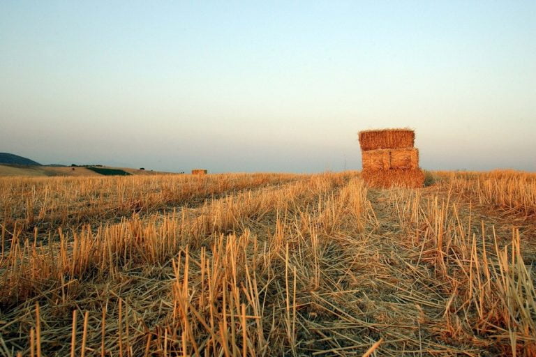 «Ζεστό» χρήμα σε γεωργούς – Επιδότηση έως και 14.000 ευρώ, δόθηκε παράταση στην προθεσμία