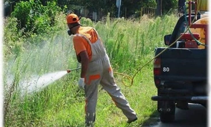 Η ΑΝΕΣΕΡ ζητά προσωπικό για το πρόγραμμα καταπολέμησης κουνουπιών