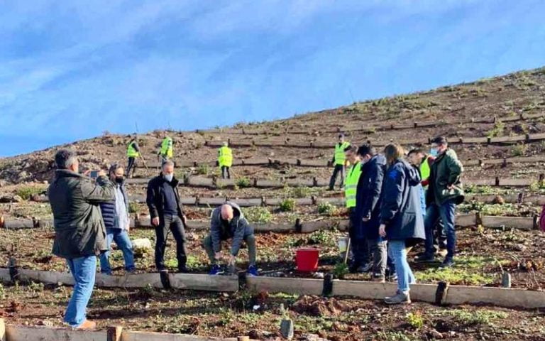 4.000 δέντρα φυτεύθηκαν στην καμένη περιοχή της Λίμνης Ευβοίας
