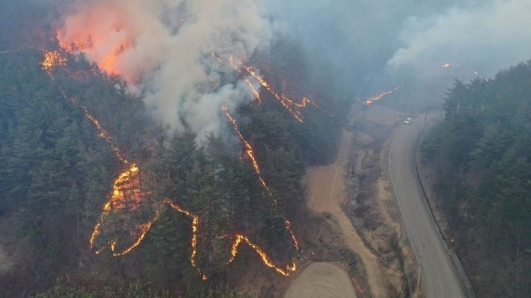 Μελέτη: Ο καπνός από τις μεγάλες δασικές πυρκαγιές καταστρέφει προσωρινά το στρώμα του όζοντος στη στρατόσφαιρα