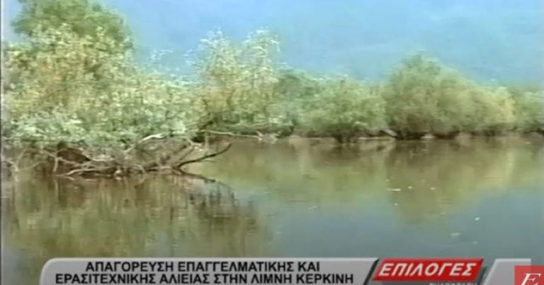 Σέρρες: Απαγόρευση ερασιτεχνικής και επαγγελματικής αλιείας στη λίμνη Κερκίνη -video