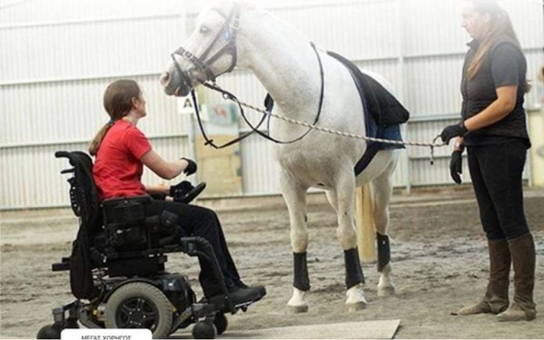 Σέρρες: Όταν το άλογο θεραπεύει …  Διεθνές σεμινάριο ιπποθεραπείας από το ΚΕΘΙΣ