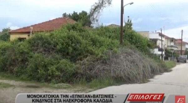 Μονοκατοικία την έπνιξαν βατσινιές