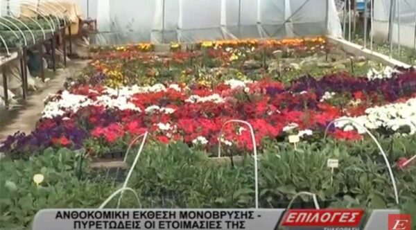 Ανθοκομική έκθεση Μονόβρυσης