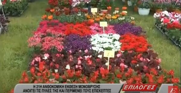 Ανθοκομική έκθεση Μονόβρυσης