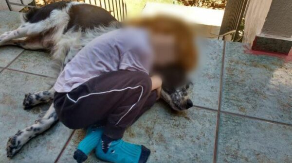 Αρπαγή 6χρονου στην Κηφισιά: Η επίσημη ανακοίνωση της ΕΛ.ΑΣ.