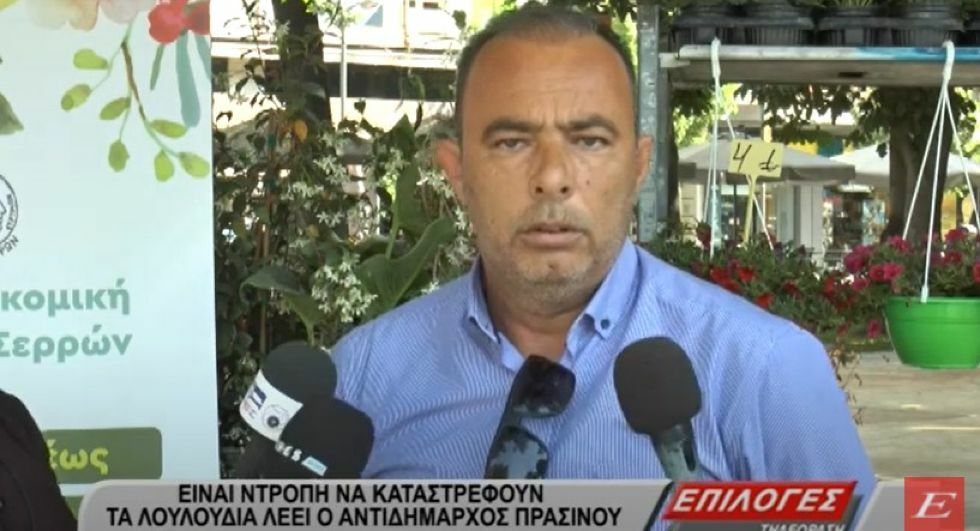 Σέρρες: "Είναι ντροπή να καταστρέφουν τα λουλούδια"