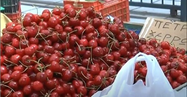 Κεράσια στην λαϊκή αγορά των Σερρών- Πώς διαμορφώθηκαν οι τιμές -video