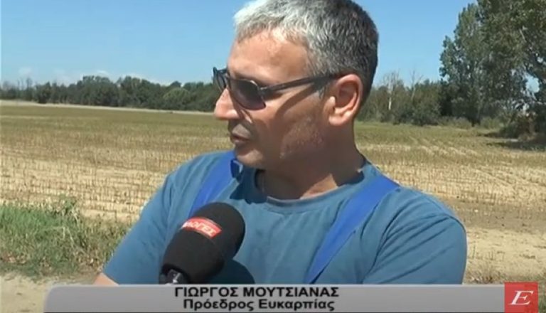 Σέρρες: Αγρότες στην Ευκαρπία- Ζητούν άμεση αποζημίωση από τον ΕΛΓΑ για τις καταστροφές -video