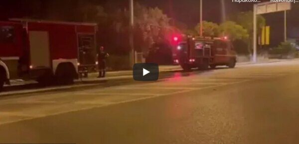 Σέρρες: Φωτιά σε εγκαταλειμμένη μονοκατοικία στην είσοδο της πόλης- video