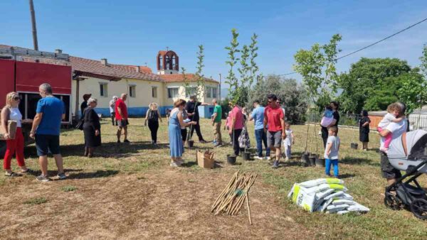 Δήμος Βισαλτίας για την Παγκόσμια Ημέρα Περιβάλλοντος: "Ένα δέντρο για κάθε παιδί που γεννιέται στον Δήμο"- video