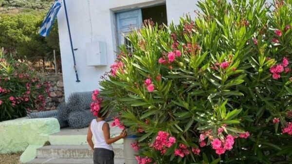 Μαθητές στη Γαύδο και Τέλενδο δείχνουν το δρόμο για ένα καθαρότερο περιβάλλον