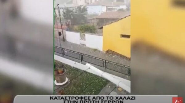 Πρώτη Σερρών: Καταστροφές από το χαλάζι σε ελαιόδεντρα, αμπέλια και σιτηρά- Προηγήθηκε 10λεπτη βοή- video