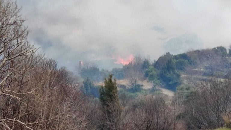 Σάμος: «Μάχη» των πυροσβεστών για τον έλεγχο της πυρκαγιάς στην περιοχή Παλαιοχώρι