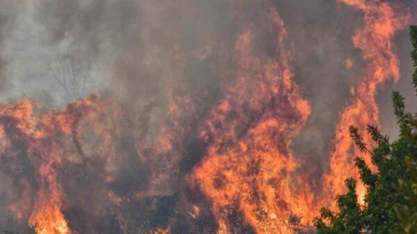Εφιαλτική η νύχτα στο Εθνικό Πάρκο Δαδιάς - Συνεχίζεται η επιχείρηση κατάσβεσης της μεγάλης πυρκαγιάς