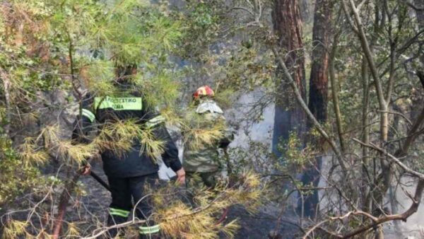 Οριοθετημένη η πυρκαγιά στο Εθνικό Πάρκο Δαδιάς - Παραμένουν ισχυρές επίγειες δυνάμεις